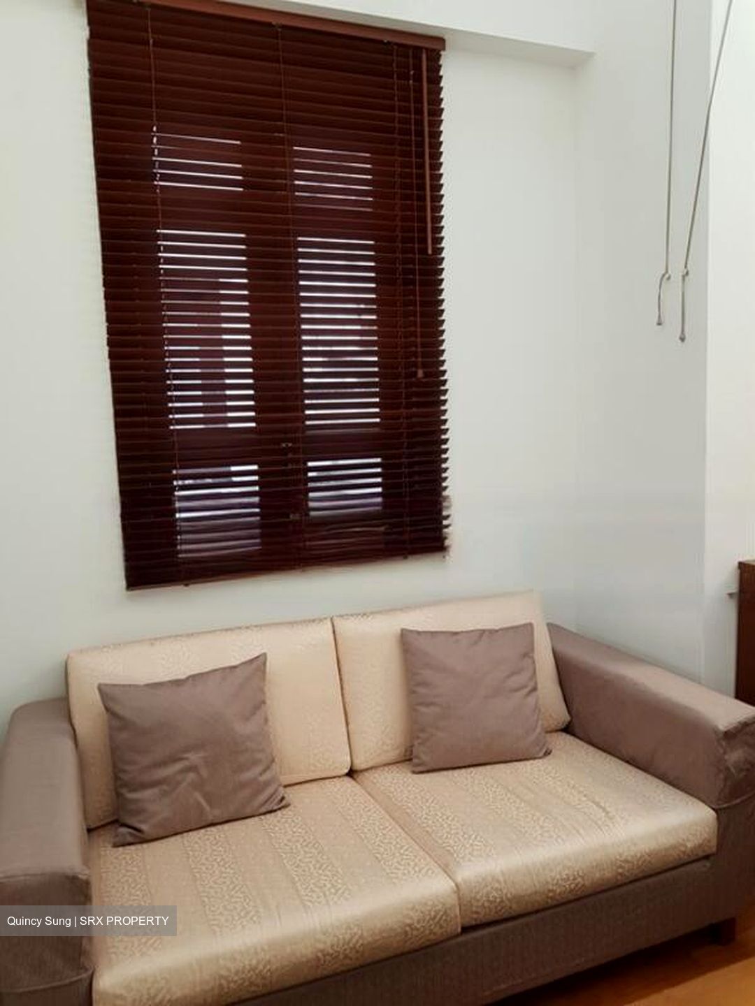 Joo Chiat Place (D15), Detached #482580721